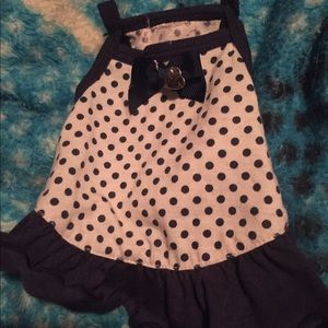Kitten dress